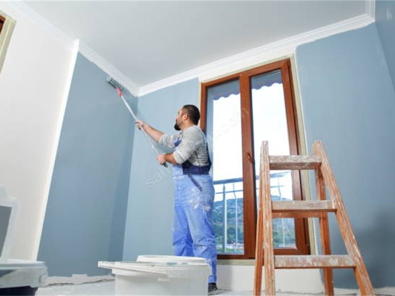 Saray Boya Badanacı